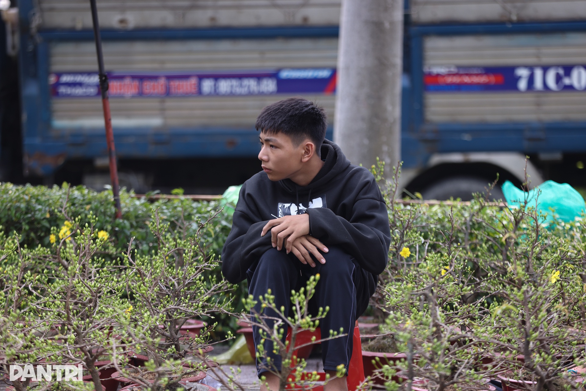 Tiểu thương ở TPHCM đập hoa, bán tháo chiều 29 Tết - 6 Tiểu thương ở TPHCM đập hoa, bán tháo chiều 29 Tết - 6