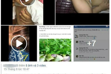 Cẩn trọng với việc chữa sốt xuất huyết bằng uống nước tía tô canh giới sống