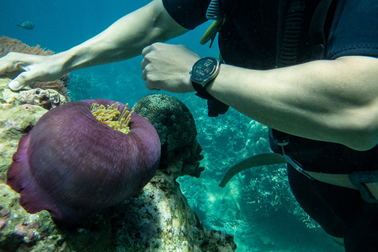 Loạt thiết bị đeo thông minh giúp bạn tận hưởng mùa hè cực chất