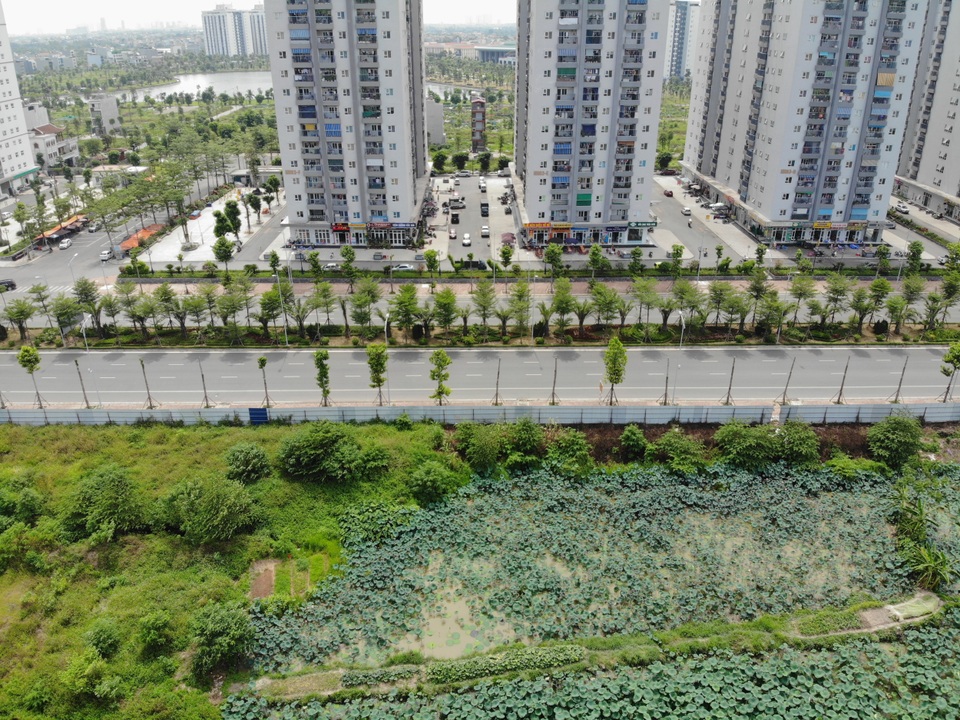 Hàng loạt cây xanh chết khô trên con đường đẹp nhất nhì Hà Nội - 9 Hàng loạt cây xanh chết khô trên con đường đẹp nhất nhì Hà Nội - 9