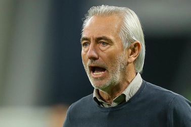 UAE quyết định sa thải huấn luyện viên Bert van Marwijk