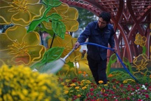 Tất bật chuẩn bị cho Chợ hoa xuân "Trên bến dưới thuyền" duy nhất tại TPHCM