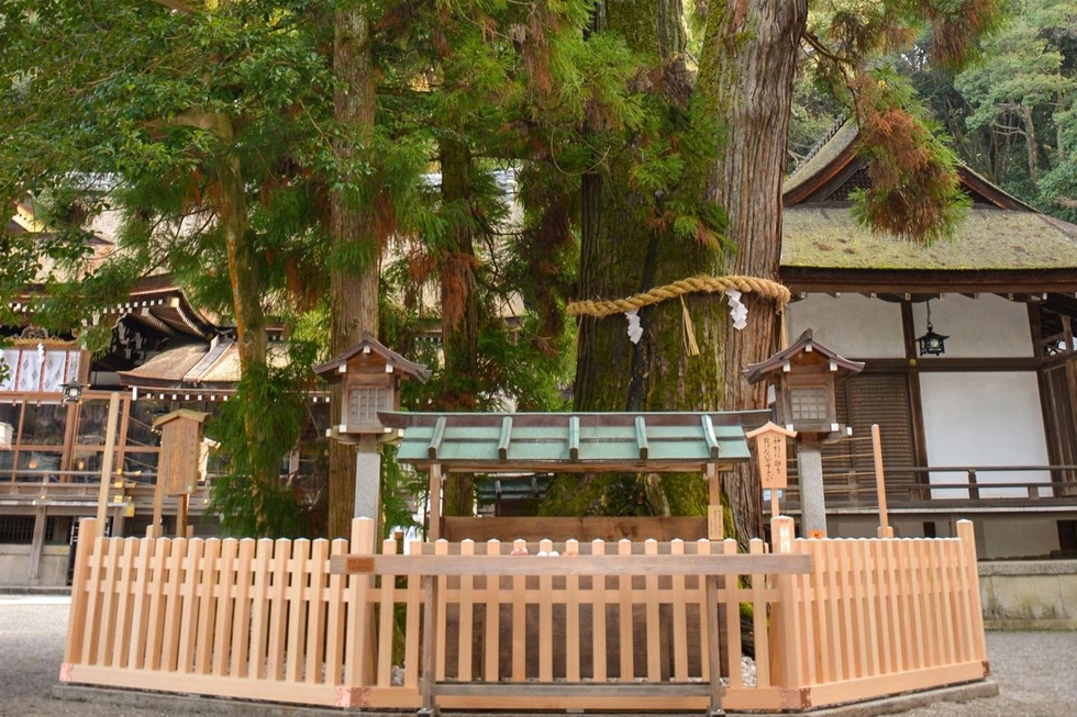 4 ngôi đền thờ rắn linh thiêng ở Nhật Bản nên ghé thăm dịp năm mới - 2 4 ngôi đền thờ rắn linh thiêng ở Nhật Bản nên ghé thăm dịp năm mới - 2