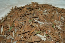 Đinh tặc rải gần nửa tấn đinh, vật nhọn khắp TPHCM