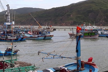 Yêu cầu cảng hàng dừng đổ đất lấn biển “uy hiếp” cảng cá tại Bình Định!