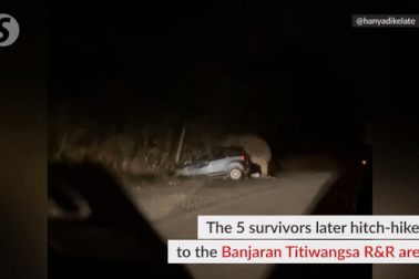 Voi nổi điên tấn công ô tô vì tài xế bấm còi quá nhiều