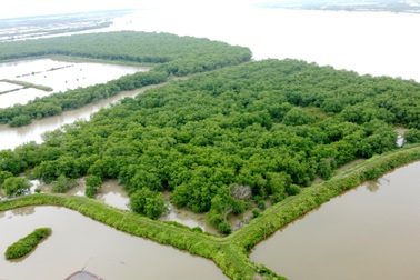 Ngắm khu bảo tồn thiên nhiên có thể bị thu hẹp để xây đô thị, sân golf