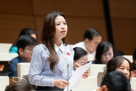 Có những giáo viên sợ hãi chính môi trường làm việc của mình