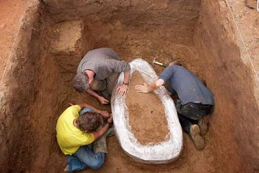 Phát hiện kho báu tiền xu cổ trị giá 16 triệu đô dưới cánh đồng 