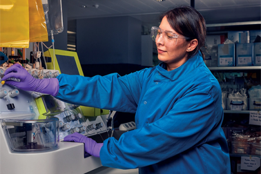 GSK công bố kết quả nghiên cứu về hen phế quản