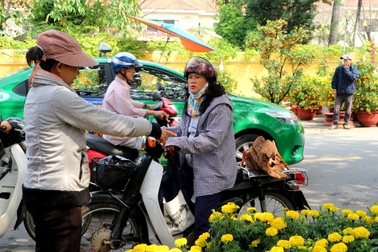 Hội An: Hoa Tết tăng giá, sức mua giảm