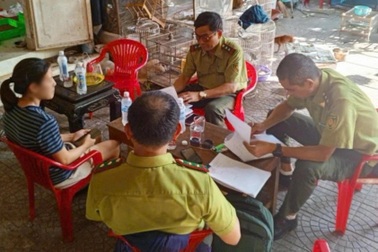 Xử phạt người bán 26 cá thể chim hoang dã trong dịp lễ Vu Lan