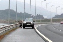 Người đàn ông dừng xe trên cao tốc để… bắn chim