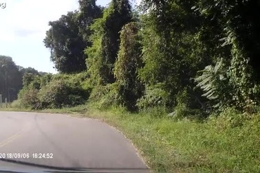 Xe tải lĩnh hậu quả vì vượt đường sắt dù đèn cảnh báo đã bật sáng