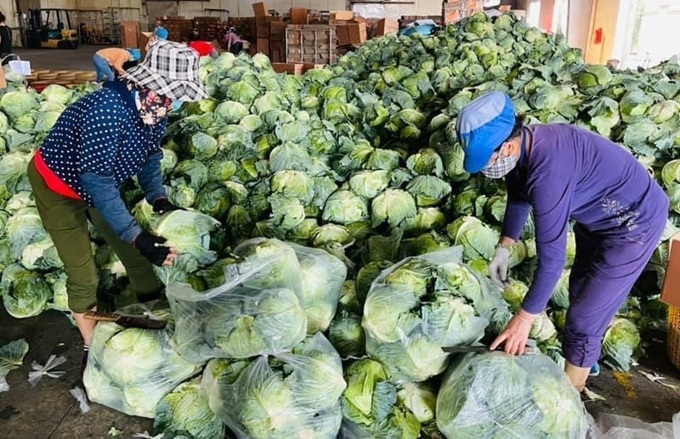 Những &quot;tuyến đường xanh&quot; trong mùa dịch - Ảnh 1.