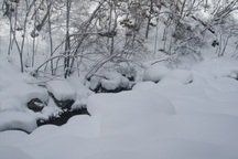 Lở tuyết ở Nhật Bản, 8 người có thể đã chết, 30 người bị thương