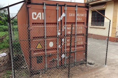 Lô gỗ sưa “trăm tỷ” thôn Phụ Chính mọc mầm sau khi chưa đấu giá được