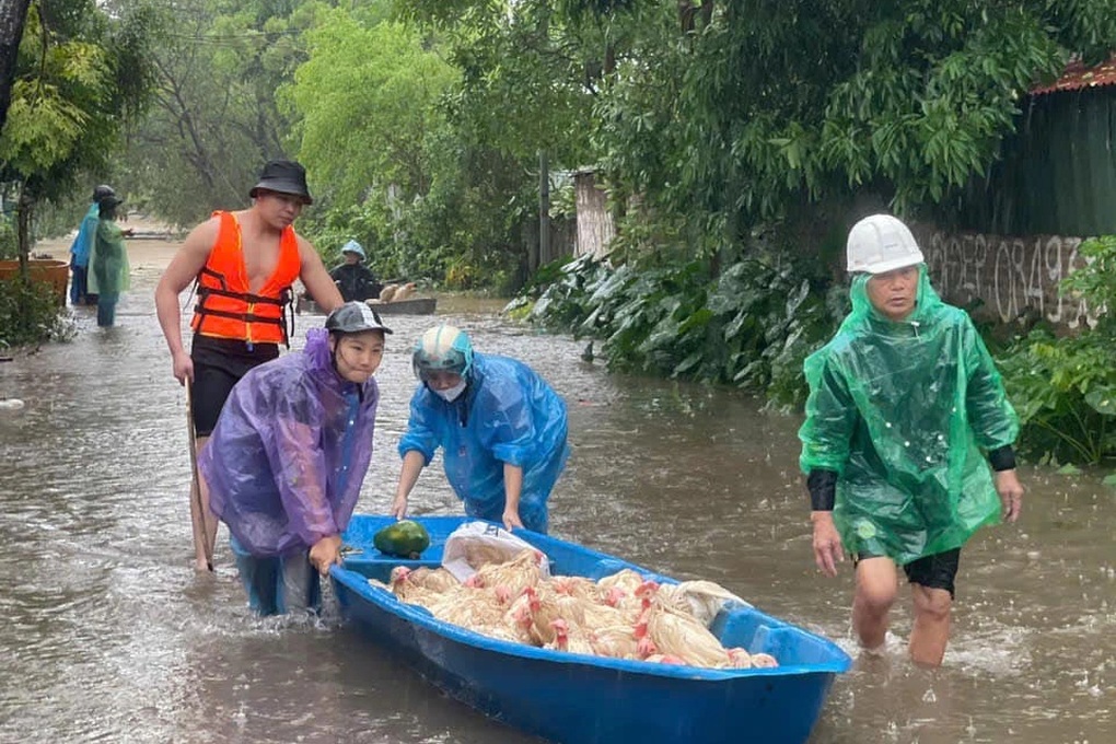 Hà Nội: Tranh nhau mua gà giá 50.000 đồng, ông chủ bần thần mất tiền tỷ - 1 Hà Nội: Tranh nhau mua gà giá 50.000 đồng, ông chủ bần thần mất tiền tỷ - 1