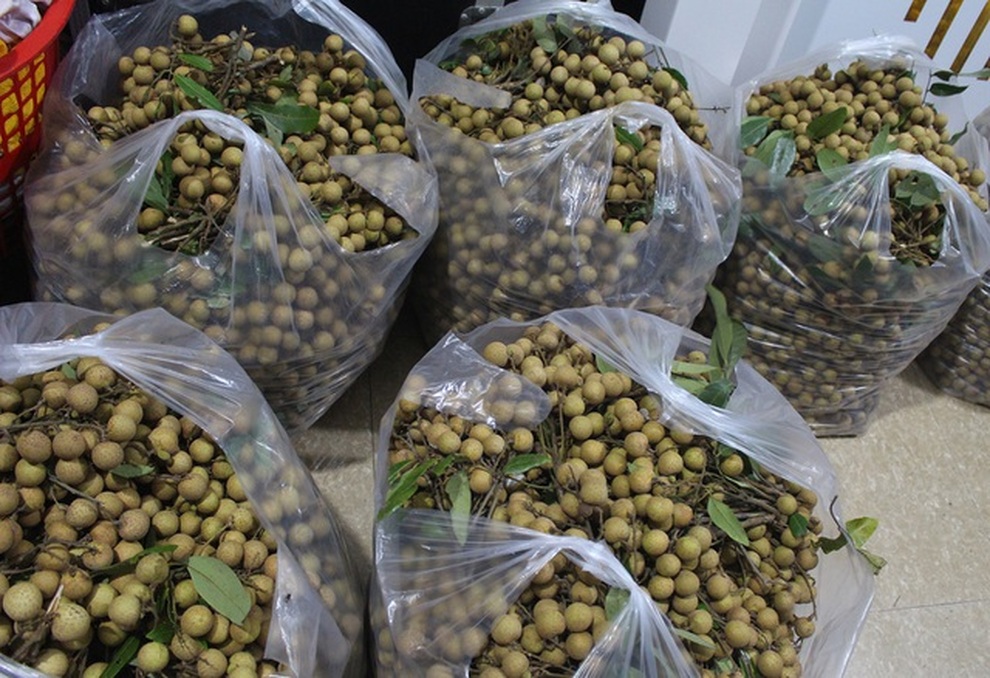 Nhãn giảm sâu còn 8.000 đồng/kg, người dân âu sầu mang quả vào lò sấy - 2