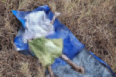 Búp bê tình dục vứt gần sân bay Nha Trang cũ, bị nhầm là thi thể người