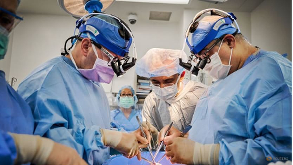 Mỹ cấy ghép thành công tim lợn cho 2 bệnh nhân chết não - 1 Mỹ cấy ghép thành công tim lợn cho 2 bệnh nhân chết não - 1