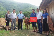 Hạn chế cho không, cấp không nguồn vốn trong mô hình giảm nghèo