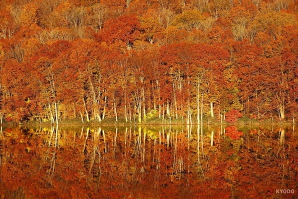 Koyo - Mùa cuốn hút du khách lên đường thưởng ngoạn sắc lá Thu - 5 Koyo - Mùa cuốn hút du khách lên đường thưởng ngoạn sắc lá Thu - 5