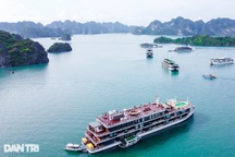 Quảng Ninh dẫn đầu toàn quốc về chỉ số PAPI 2024