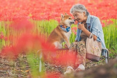 Gác lại căng thẳng để nhìn ngắm cuộc sống yên bình của “bà cụ và cún cưng”