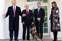 Ông Trump tiếp “đặc vụ 4 chân” trong chiến dịch tiêu diệt thủ lĩnh IS