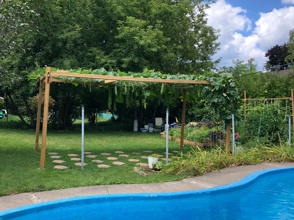 Vườn 600m2 yên bình, bội thu bầu, mướp của gia đình Việt Nam ở Canada - 3 Vườn 600m2 yên bình, bội thu bầu, mướp của gia đình Việt Nam ở Canada - 3