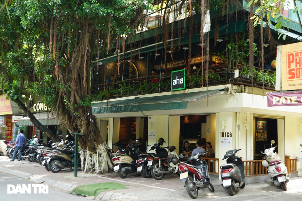 Hàng loạt quán cà phê mở cửa trở lại sau khi TP Hà Nội nới lỏng lệnh cấm - 8 Hàng loạt quán cà phê mở cửa trở lại sau khi TP Hà Nội nới lỏng lệnh cấm - 8