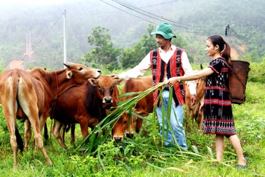 Quảng Nam phấn đấu giảm 3.000 hộ nghèo trong năm 2022