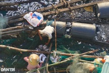 Ngư dân thất thần sau bão Kalmaegi: Trắng tay rồi, tan nát hết!