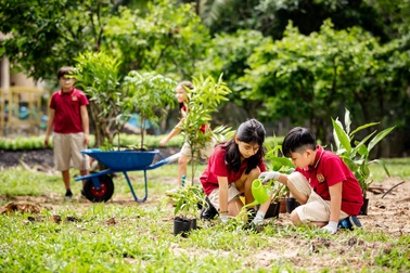 VAS và chương trình tái thiết sau Covid-19