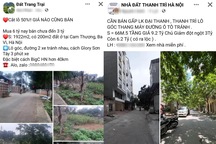 Bóc mẽ chiêu trò rao bán cắt lỗ, giảm giá bất động sản bát nháo