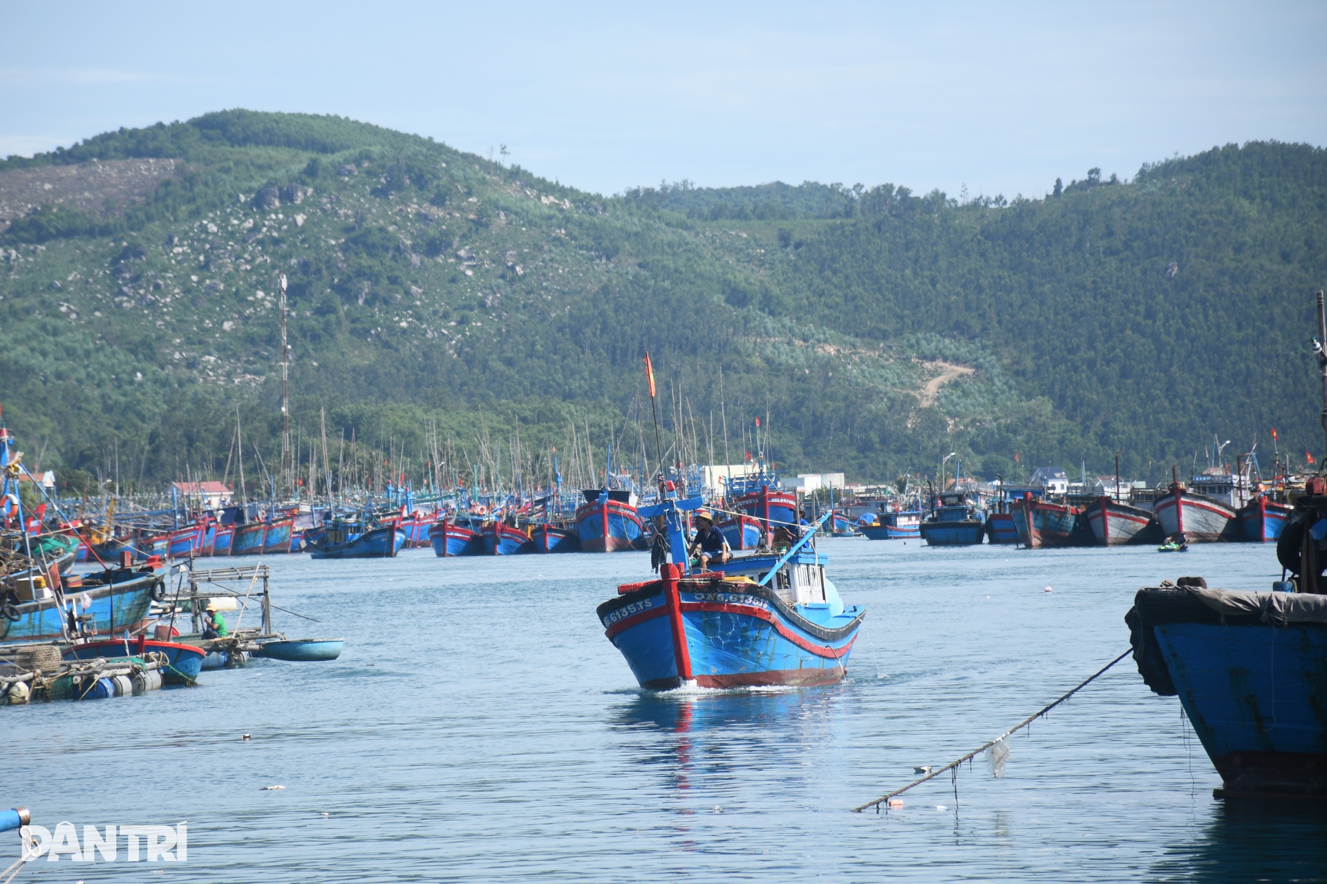 Ẩn họa khôn lường từ nghĩa địa tàu cá lớn nhất miền Trung - 8 Ẩn họa khôn lường từ nghĩa địa tàu cá lớn nhất miền Trung - 8