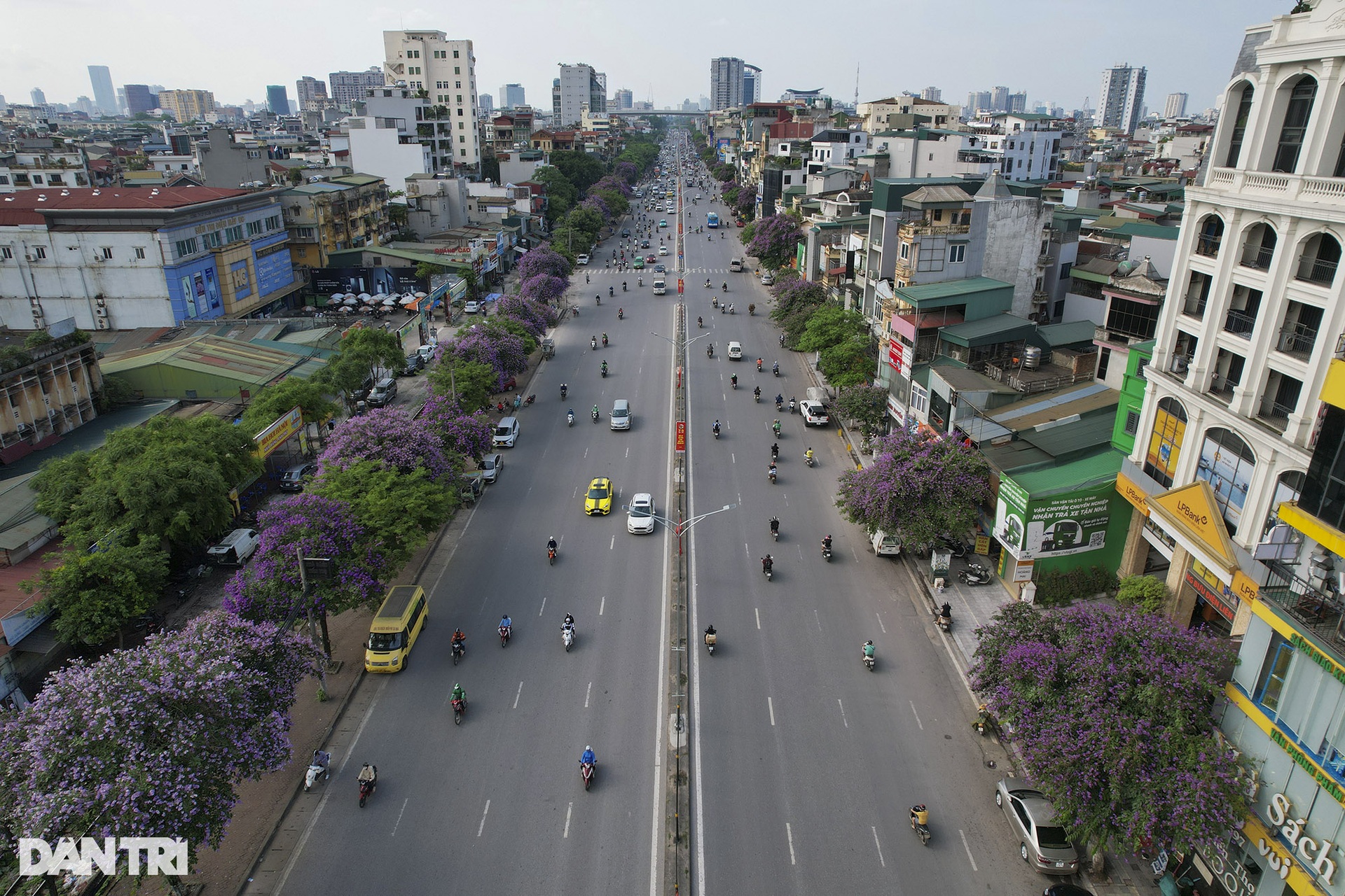 Hà Nội rực rỡ trong mùa hoa tháng 5 - 6 Hà Nội rực rỡ trong mùa hoa tháng 5 - 6