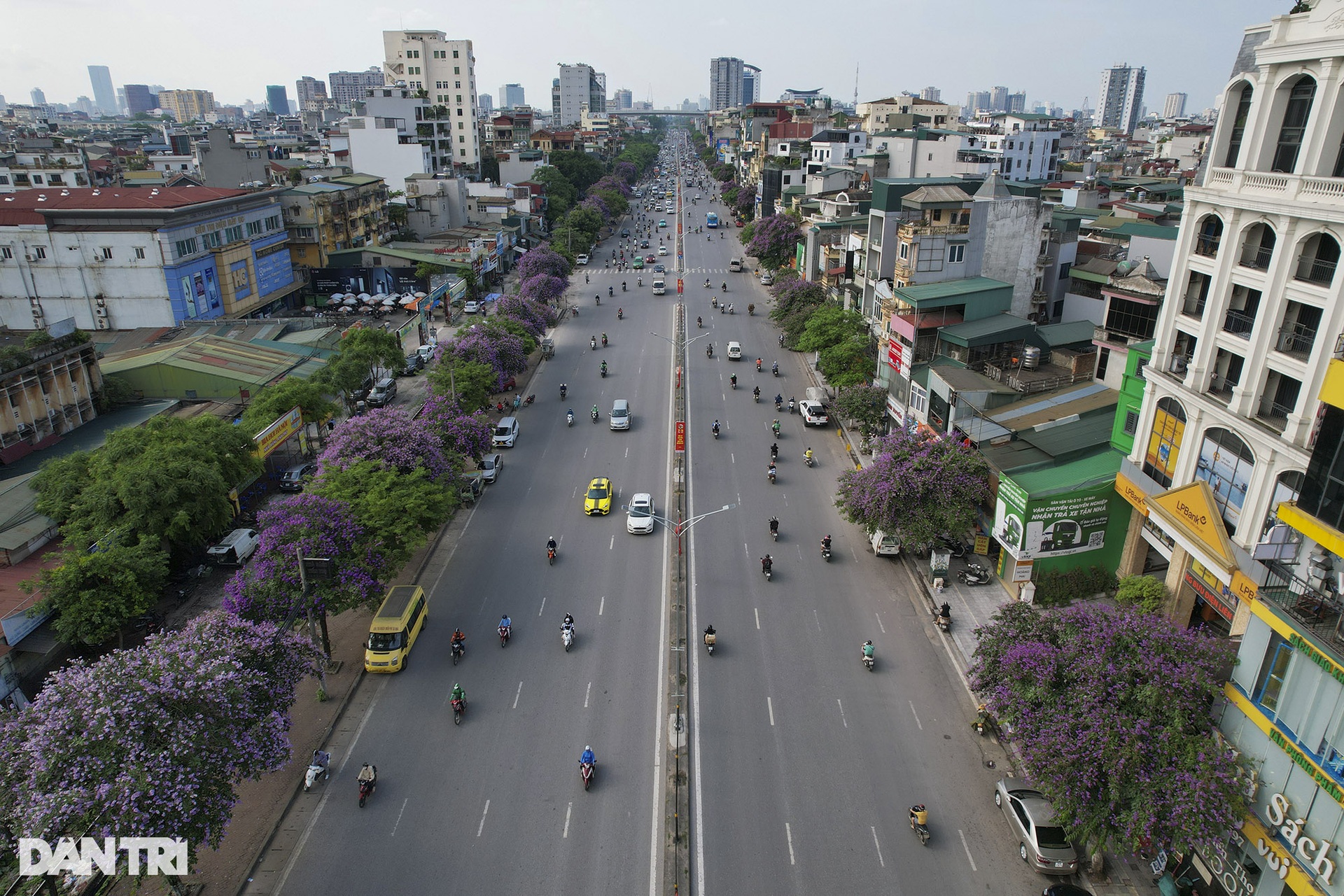 Hà Nội rực rỡ trong mùa hoa tháng 5 - 6