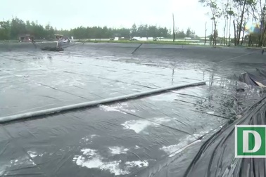 Người dân khóc nức nở khi hồ tôm bị nước lũ cuốn trôi