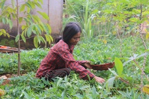 Tháo gỡ khó khăn cho công tác giảm nghèo vùng đồng bào dân tộc thiểu số