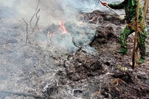 Rừng thông lại bốc cháy, huy động toàn lực để khống chế