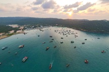 Chính quyền đặc khu được tổ chức như thế nào?