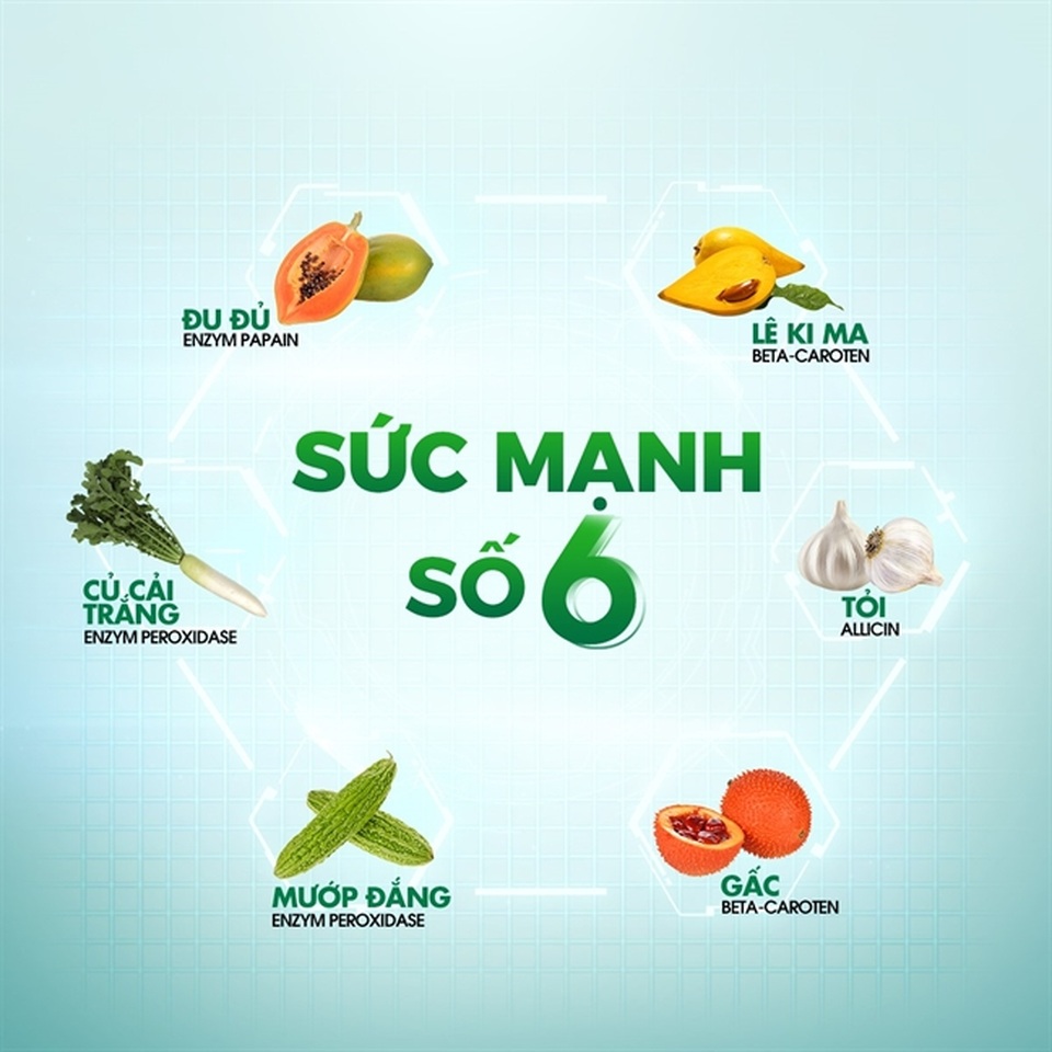 Chuyện chưa kể về hành trình nghiên cứu thuốc giải độc gan cho người Việt - 2 Chuyện chưa kể về hành trình nghiên cứu thuốc giải độc gan cho người Việt - 2