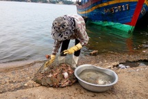 Dân hoang mang sau khuyến cáo "không sử dụng một số loại hải sản"