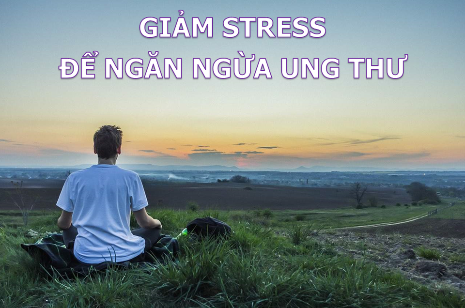 Stress kéo dài “nuôi dưỡng” mầm mống ung thư - 2 Stress kéo dài “nuôi dưỡng” mầm mống ung thư - 2