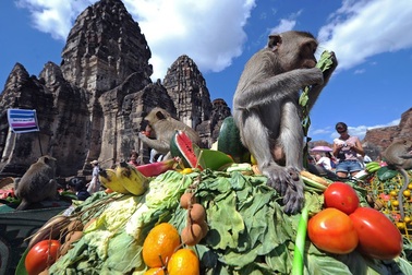 Những lễ hội kỳ quặc trong tháng 11 trên thế giới