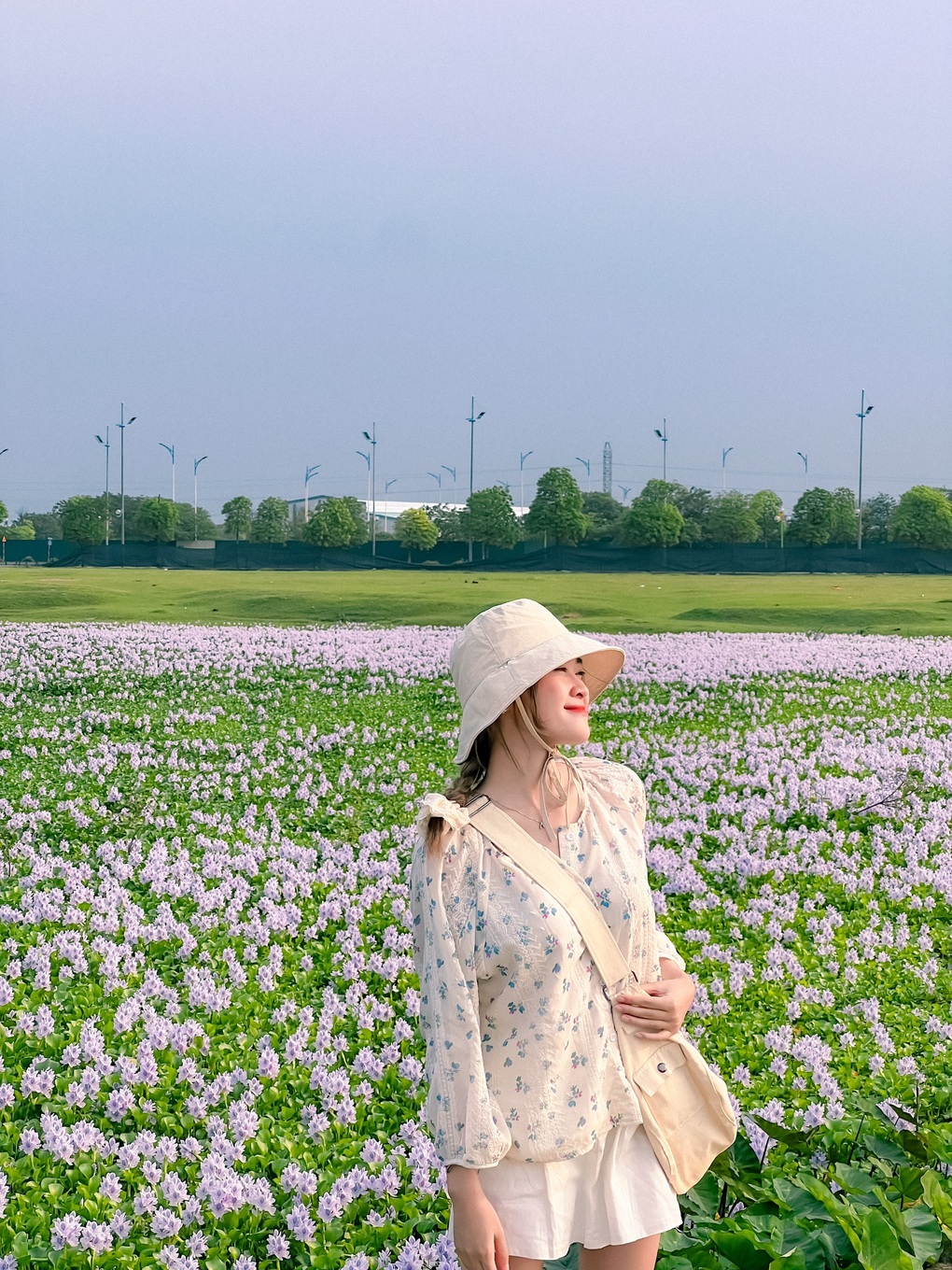 Phát hiện đầm hoa lục bình tím biếc ở Hà Nội, giới trẻ đổ xô săn ảnh đẹp - 7 Phát hiện đầm hoa lục bình tím biếc ở Hà Nội, giới trẻ đổ xô săn ảnh đẹp - 7