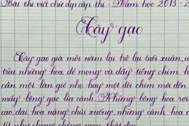 Nữ sinh tiểu học viết bài văn “Cây gạo” đẹp như in