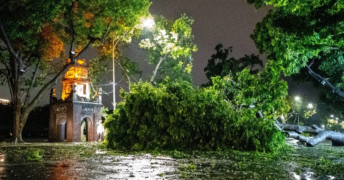 Cây xanh ở quanh hồ Gươm gãy đổ tan hoang sau khi bão Yagi quét qua - 2